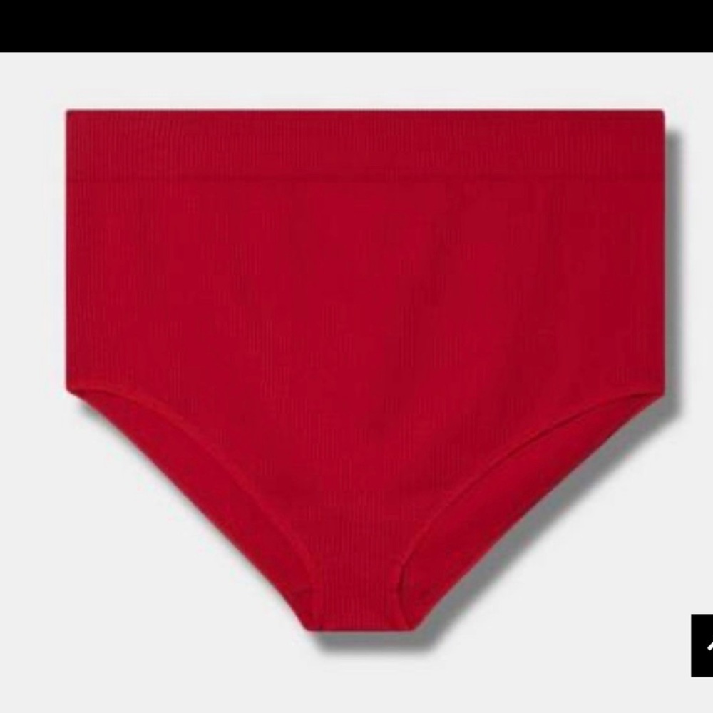 Torrid Seamless Ribbed High-Rise Brief Panty